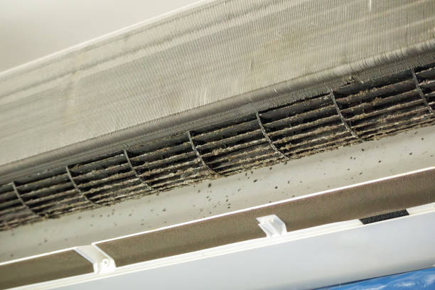 Best HVAC Duct Inspection Services  in Charlotte Hall, MD